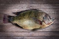 Tilapia, fresh nile tilapia fish on wooden background Royalty Free Stock Photo