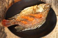 Tilapia fried fish