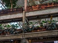 Tilburg, North Brabant, The Netherlands - Metal construction of the Lochal library, decorated with plants