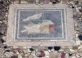 Tile mosaic of birds, Scavi Di Pompei