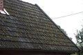 Tile on the roof are covert with moss Royalty Free Stock Photo