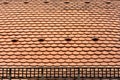 Tile roof with snow grid