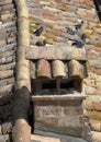 Tile rooftop, chimney and pigeons in the Fortress of Vignola near Modena, Italy