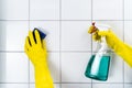 Tile Wall Grout Cleaning With Sponge Royalty Free Stock Photo