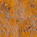 A tileable seamless background of a rusty metal plate. Royalty Free Stock Photo