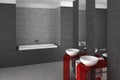 Tiled bathroom with double basin and bathtub Royalty Free Stock Photo