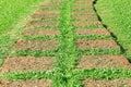 Tiled Garden Path