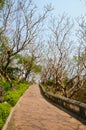 A Tiled Pathway at Phra Nakhon Khiri Historical Park Royalty Free Stock Photo