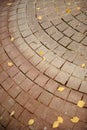 Tiled Pavement with Fallen Autumn Leaves