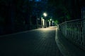 The tiled road in the night green park with lanterns in spring. A benches in the park during the spring season at night. Royalty Free Stock Photo