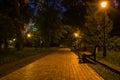 The tiled road in the night green park with lanterns in spring. A benches in the park during the spring season at night. Royalty Free Stock Photo