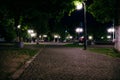 The tiled road in the night green park with lanterns in summer Royalty Free Stock Photo