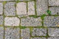 Tiled stack stone floor with green grass plant as texture or background