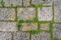 Tiled stack stone floor with green grass plant as texture or bac