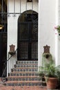 Tiled steps lead up to a metal door Royalty Free Stock Photo