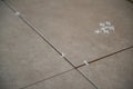 Tiler laying the ceramic tile on the floor. Professional worker makes renovation. Construction. Royalty Free Stock Photo