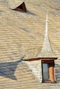 Tiles on old castle roof