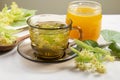 Tilia platyphyllos known as large-leaved linden blossom herbal tea made out of an freshly picked blossoms with tree leaves and bra