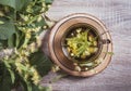 Tilia platyphyllos known as large-leaved linden herbal tea made out of an freshly picked blossoms. Royalty Free Stock Photo