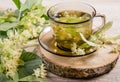 Tilia platyphyllos known as large-leaved linden herbal tea made out of an freshly picked blossoms.