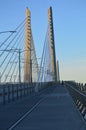 Tilikum Crossing Bridge of the People