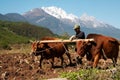 Till the field at foot of snow mountain Royalty Free Stock Photo