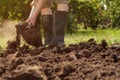 Tillage. Farmer digging in garden spade soil shovel digging spade grass. Gardener digging soil preparation. Man