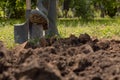 Tillage. Farmer digging in garden spade soil shovel digging spade grass. Gardener digging soil preparation. Man