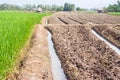 Tillage field landscape