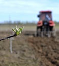 Tillage in garden in spring