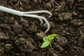 Tillage with a small manual garden cultivator