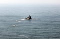 Tillamook Rock Light lighthouse, north Oregon coast Royalty Free Stock Photo