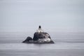 Tillamook Rock Lighthouse at Oregon Coast Royalty Free Stock Photo