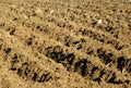 Tilled soil Royalty Free Stock Photo