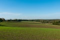 Tilled soil with green sprouting plants and selective focus. Royalty Free Stock Photo