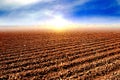 Tilled soil after harvest Royalty Free Stock Photo