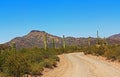 Tillotson Peak in Organ Pipe Cactus National Monument Royalty Free Stock Photo