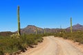 Tillotson Peak in Organ Pipe Cactus National Monument Royalty Free Stock Photo