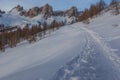 Tilt shift effect of beaten path in the snow in the middle of larch forest