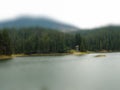 Tilt Shift photograph of coniferous forest by the lake. View of the coast and dense spruce forest. Royalty Free Stock Photo