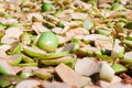 Tilt shift with pieces of apples Royalty Free Stock Photo