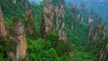 Tilt up view of of Zhangjiajie National forest park, Wulingyuan, Hunan, China