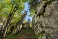 Tilted rock along the hiking path in Bijele stijene strict nature reserve, Croatia