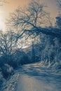 Tilted tree over country road. Mountains landscape, Toned image Royalty Free Stock Photo