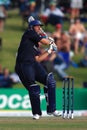 Tim Bresnan England Batsman Royalty Free Stock Photo