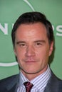 Tim DeKay Royalty Free Stock Photo