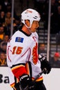 Tim Jackman Calgary Flames Royalty Free Stock Photo