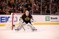 Tim Thomas Boston Bruins Royalty Free Stock Photo