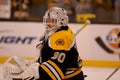Tim Thomas Boston Bruins Royalty Free Stock Photo