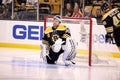 Tim Thomas Boston Bruins goalie Royalty Free Stock Photo